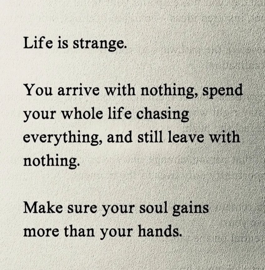 MGrande1 (@mitchgrande1) on Twitter photo 