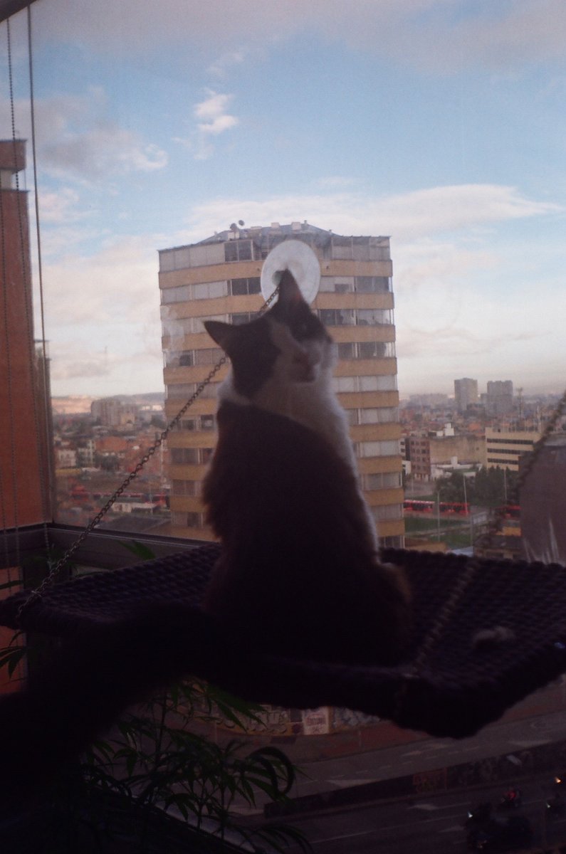 Amo los días de revelado