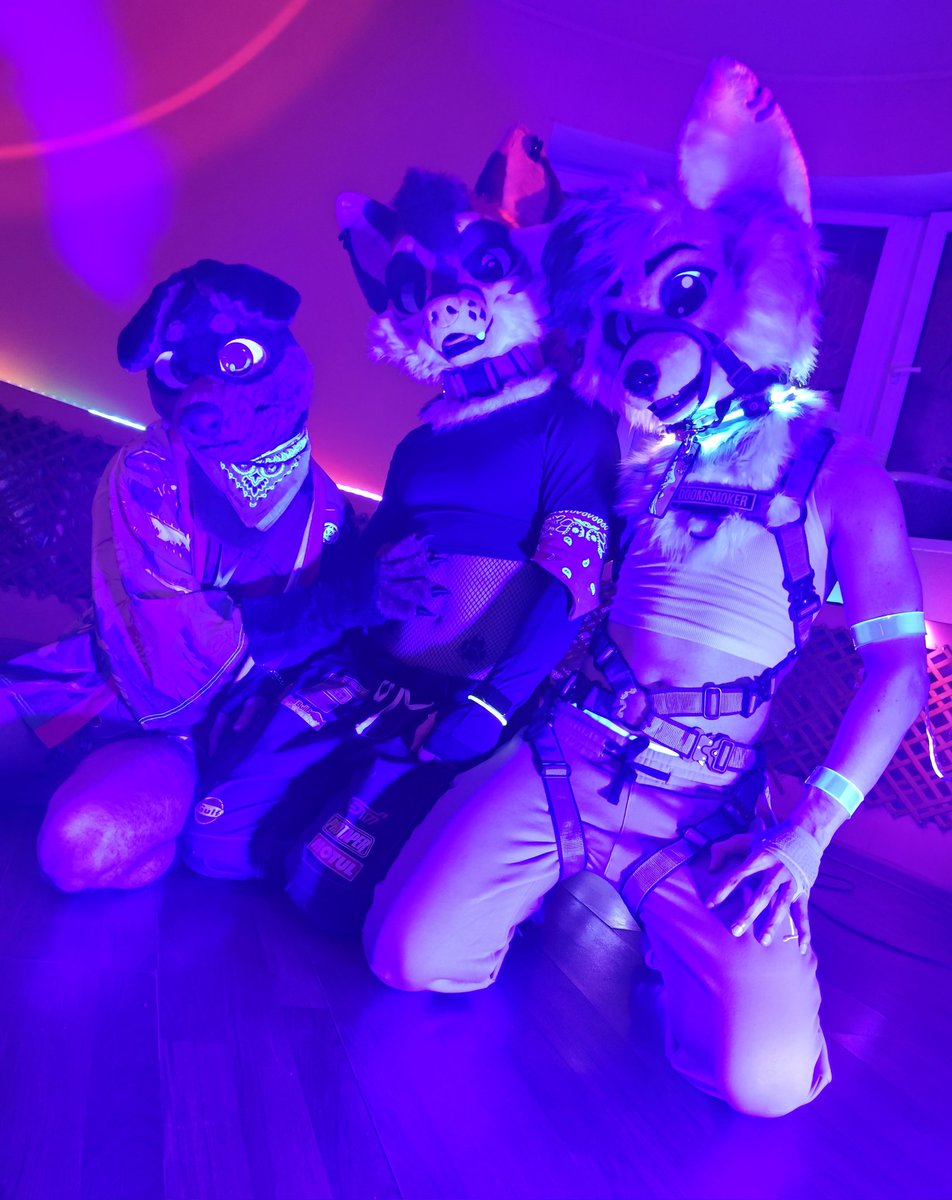 Neon night with <a href="/Miles_Foxxx/">Miles</a> &amp; <a href="/d00msmoker/">Doomsmoker</a> 🌆
#FursuitFriday
