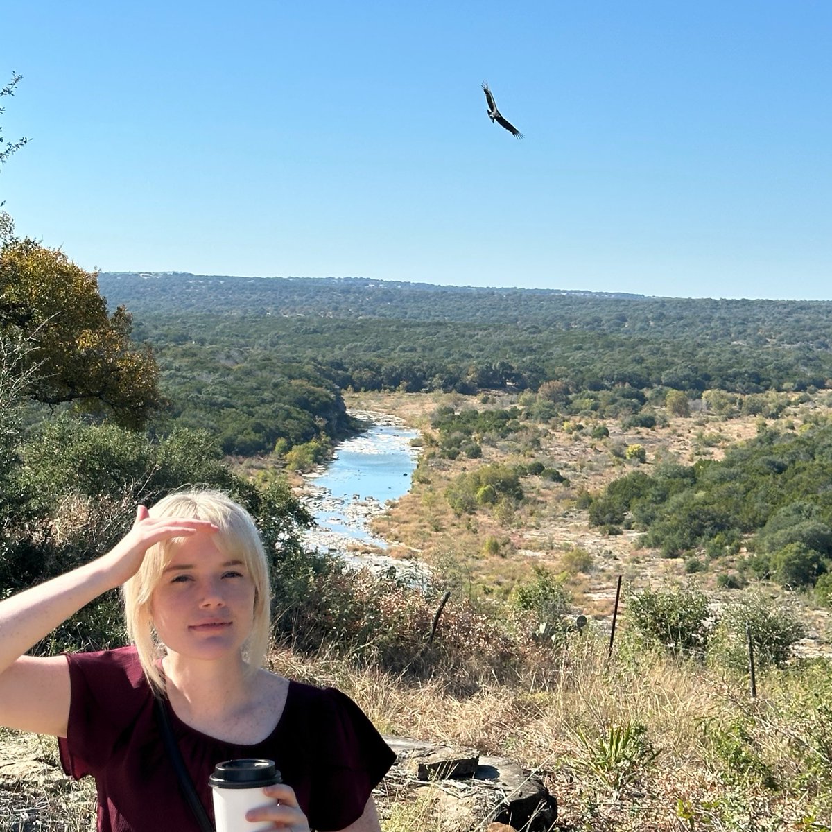 SodaKite tweet media