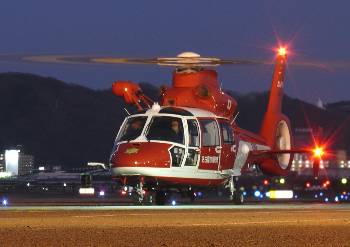 #ドーファンを愛でる会