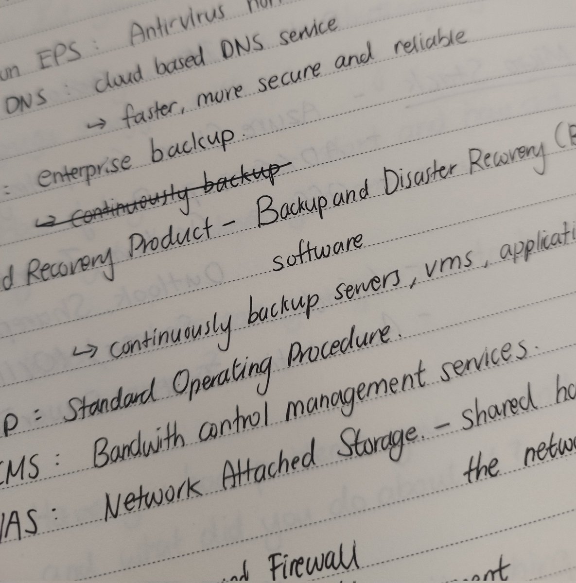 Nomi Purin 🦴🩷 Dragon Pup Vtuber tweet media