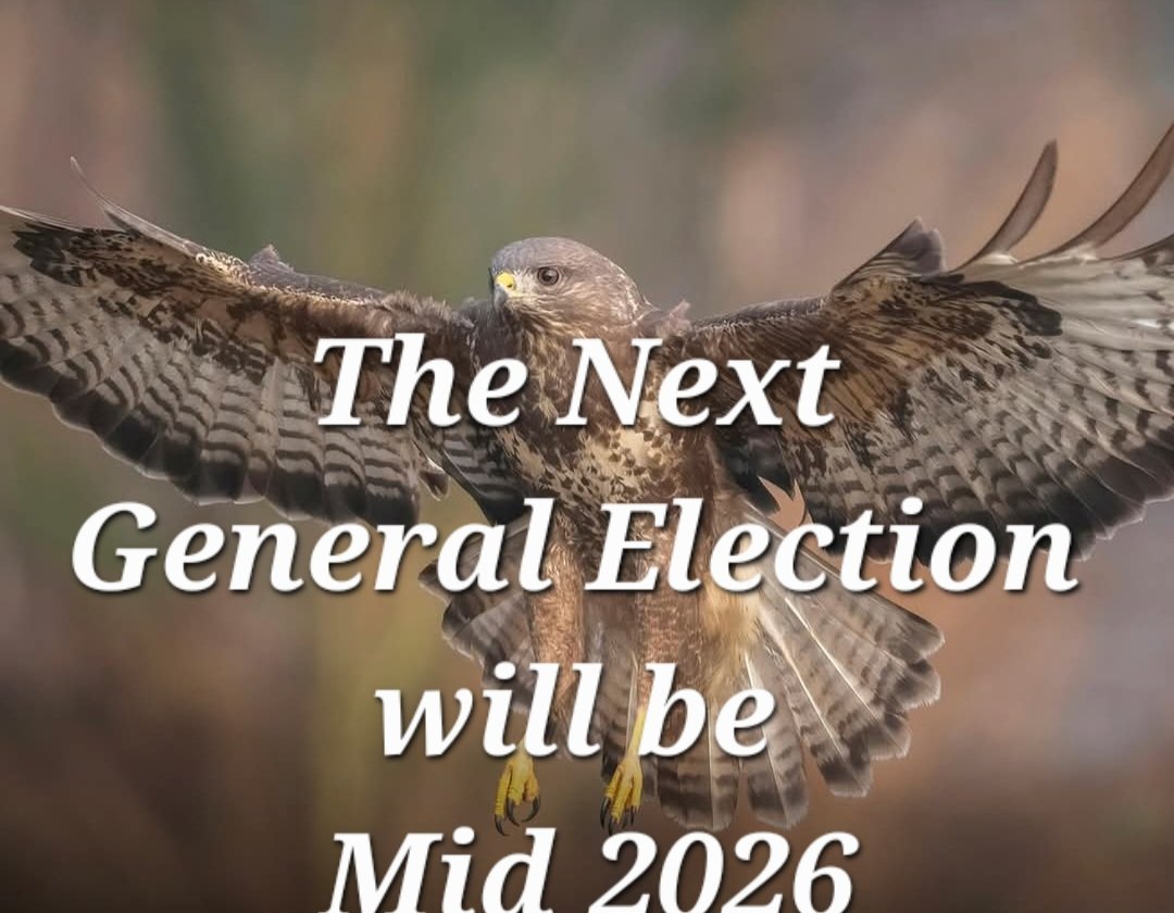 🇬🇧 🇮🇪 Miss Represented 🇮🇪🇬🇧 tweet media