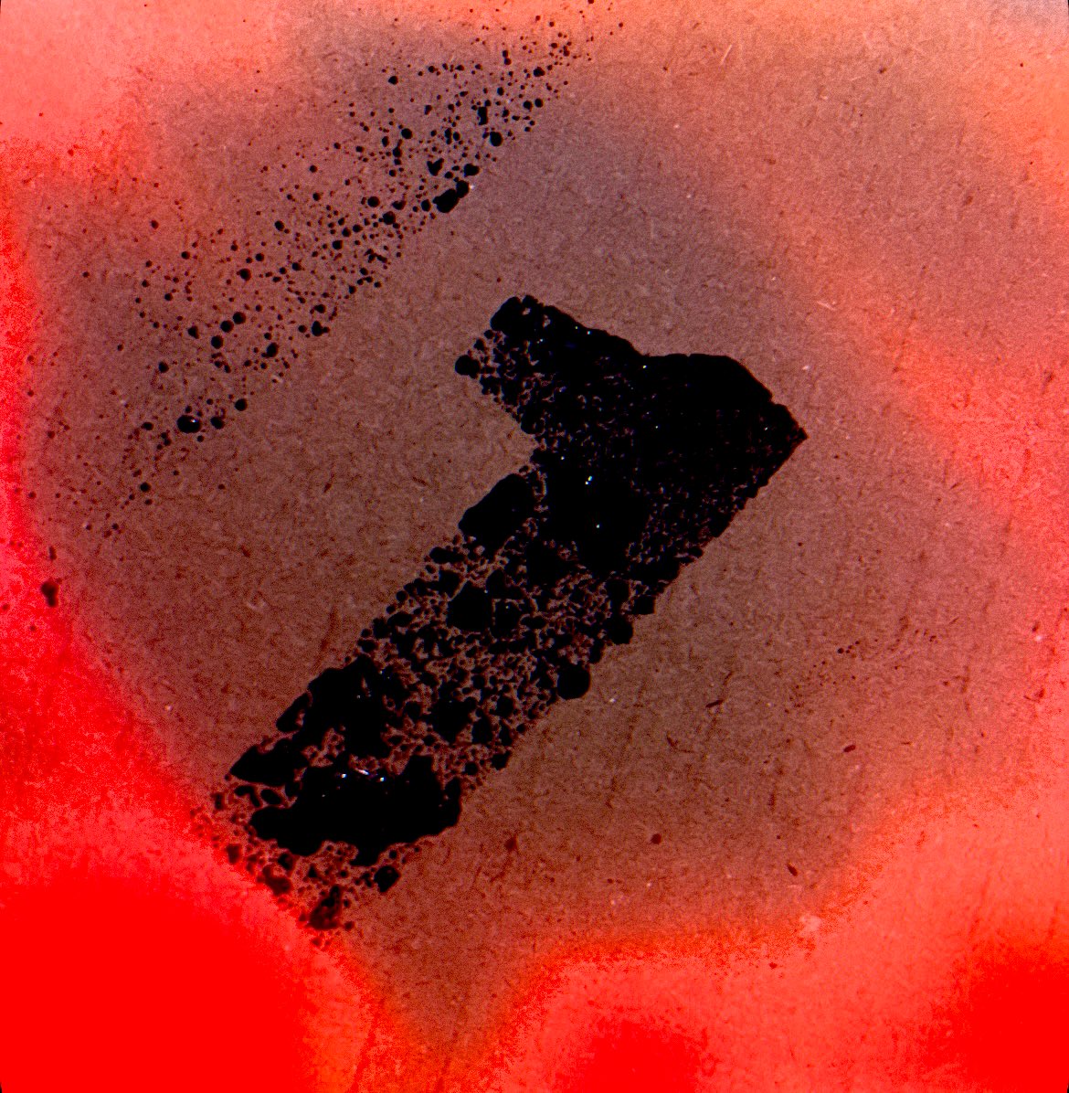 spkz_official's tweet image. 11.11 am11