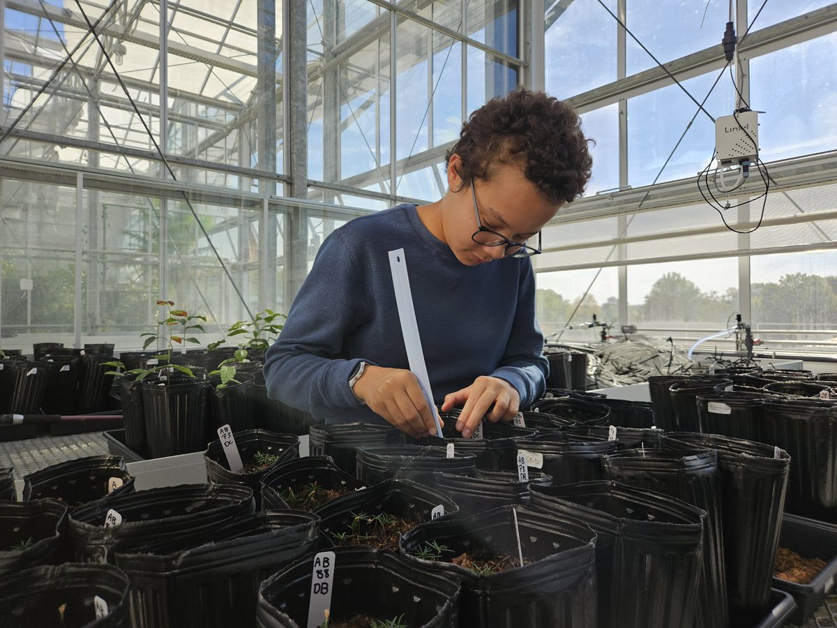 Martin Dovciak🌱🌻🌳 tweet media