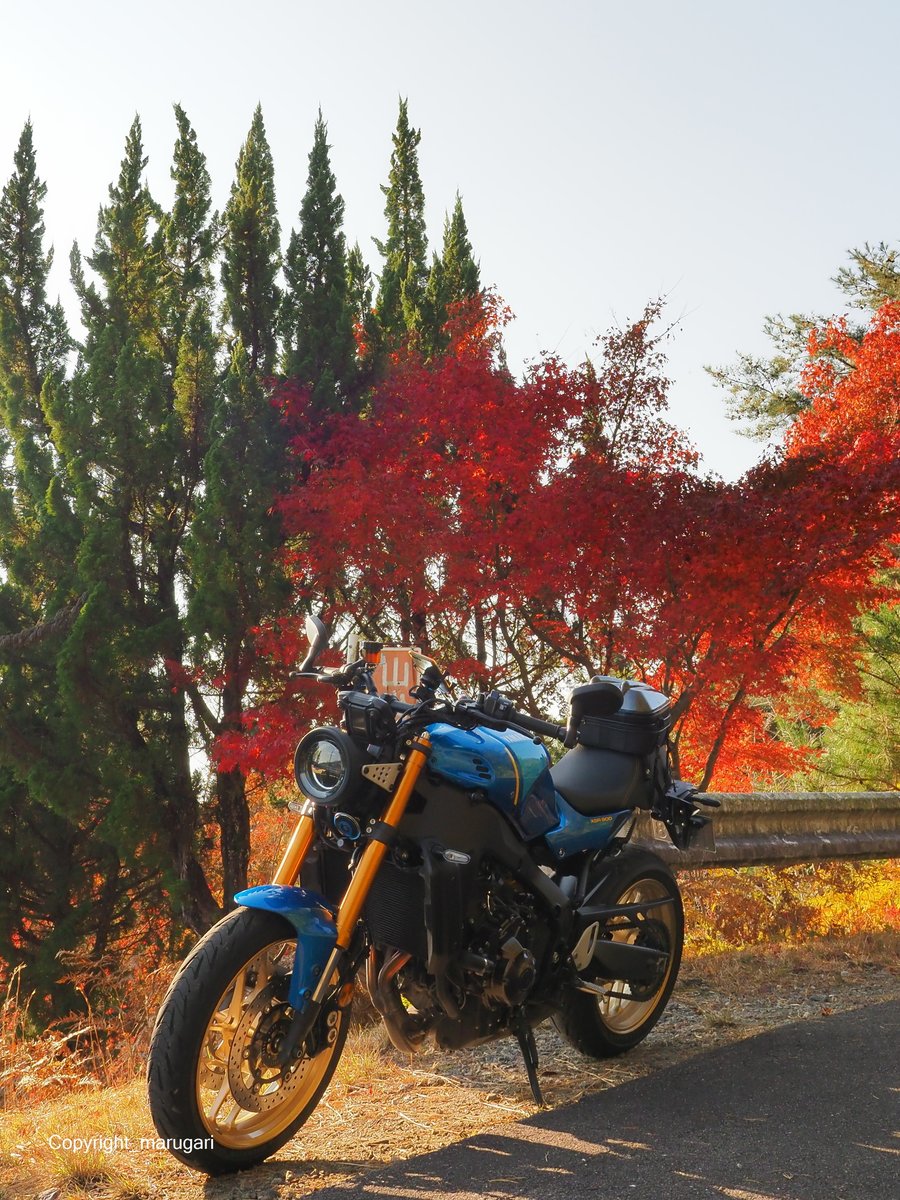 丸刈りジュリエット (@facilities_eng) / Posts / X