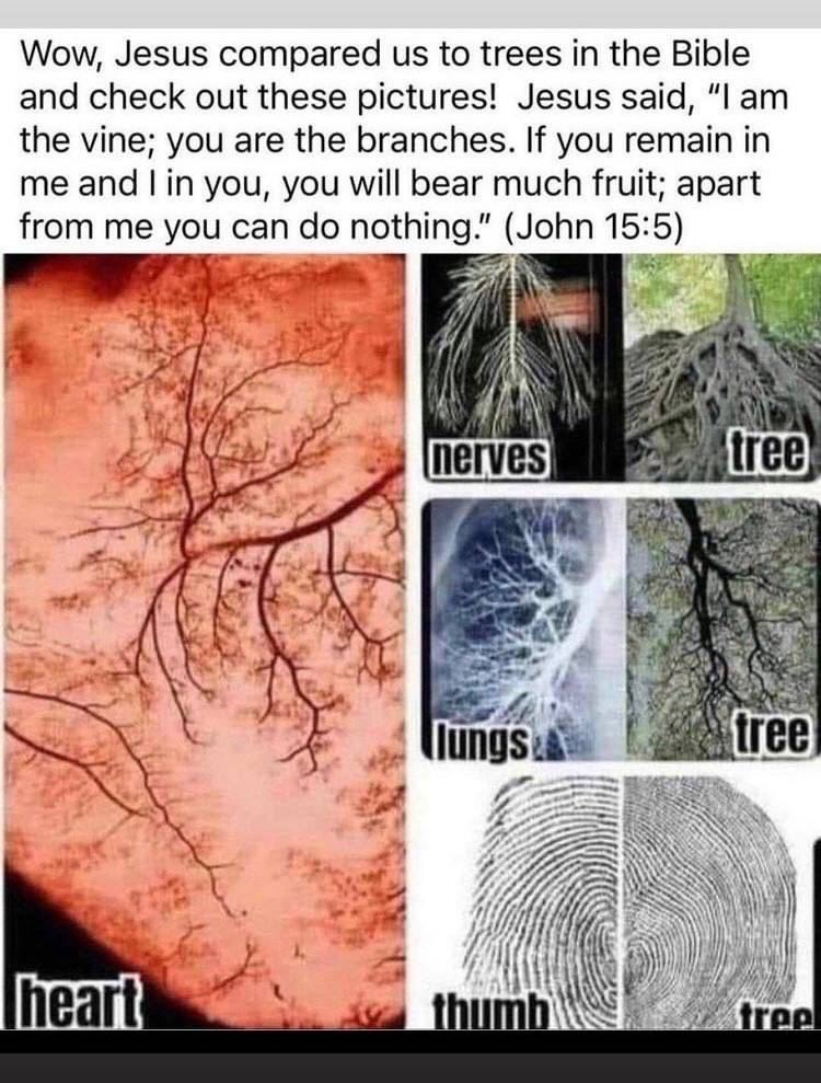 Moxiethecat's tweet image. 