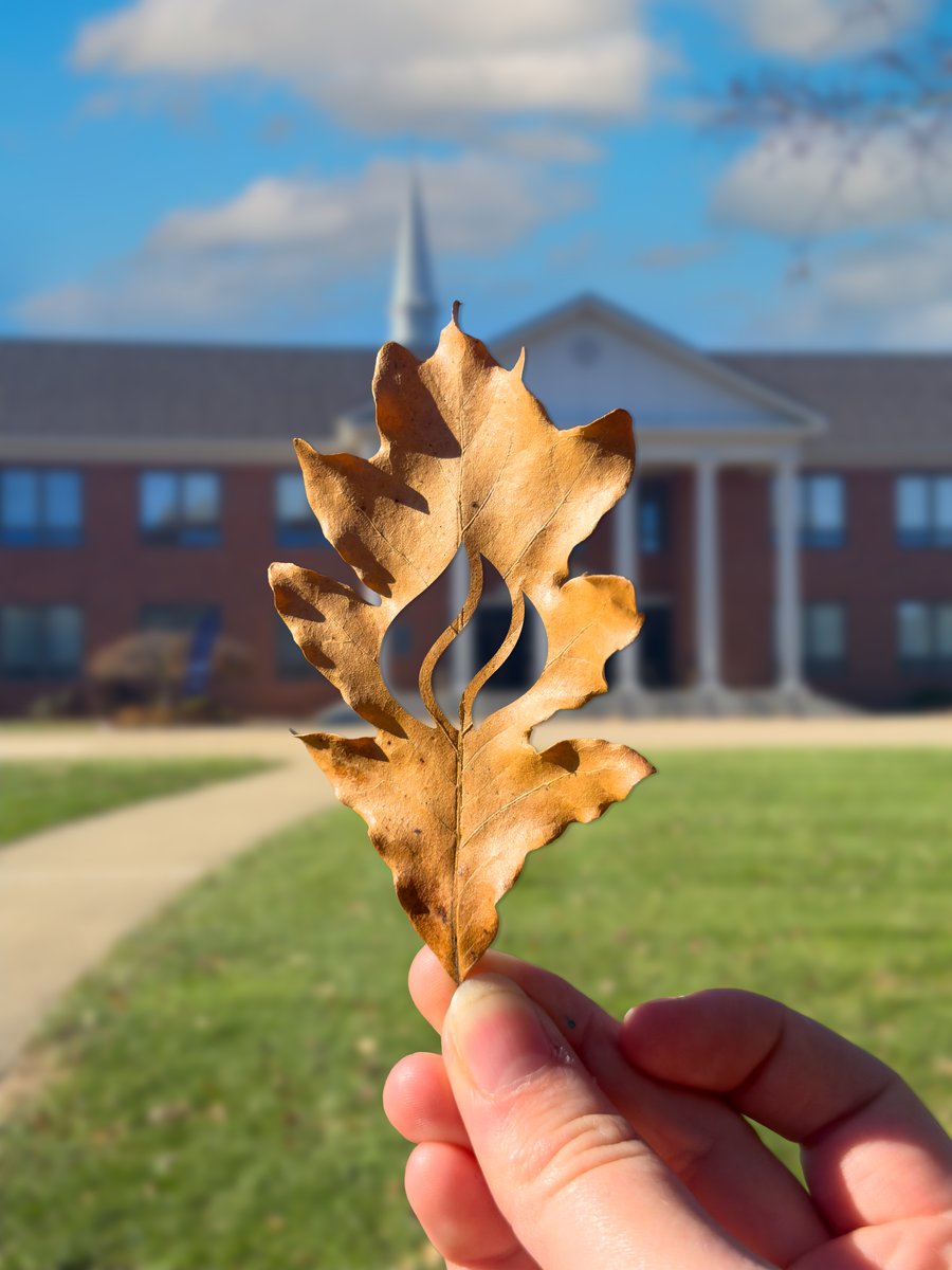 mvnu1968's tweet image. Falling for MVNU 🍂

Mount Vernon Nazarene University | Fall Scenes | Falling Leaves | Leaf Carving | Fall in Ohio | #MVNU #HappyFall