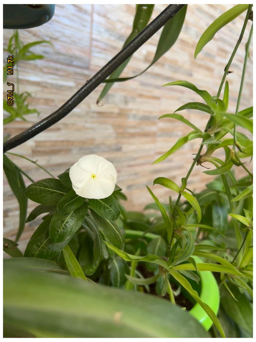 القلوب الطيبة نادرة 
لا تشترى بالذهب
كن واعياًوقدر قيمتها
الجواهر توصان  .
مروءةامرأة𝕏
#اسطول_زعماء_تويتر 
#النسر_الذهبي_للدعم
#قروب_المطانيخ_للتبادل 
#اصدقاء_للابد_للتبادل 
#اصدقاء_حلا_للتبادل
#قروب_محبتنا_تجمعنا