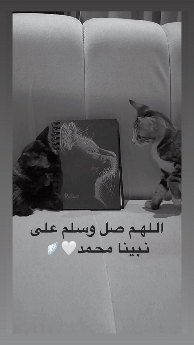 #ليلة_جمعة_ويوم_الجمعة🪽
 الكثير سيتفاجؤون حين يدركون أن كل مافعلوه لإيذائك أنقلب لصالحك في النهاية..
فالله أعظم من كل نيةٍ سيئة وأقدر على تحويل الأذى إلى بركة 
           "رفعناه مكاناً علياً"
وهنا يتجلى عدل الله ولطفه لايفلت شيء من رحمته يُبدل الجرح نوراً ويحول الأذى إلى رفعةٍ