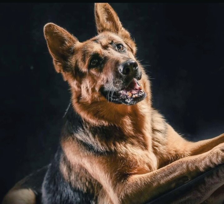 SayanAzad1's tweet image. #تیدا