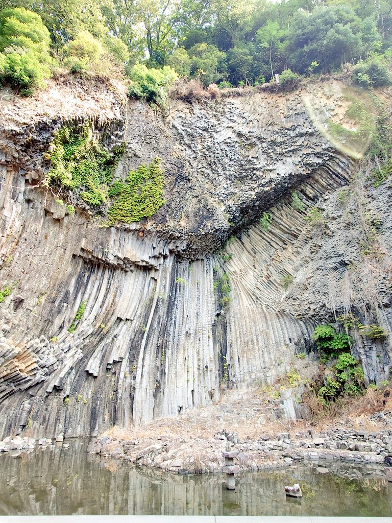 ちゃちゃ様の専用ページ ちゃちゃみ(TL追えません💦リプのお返事も🐢です🙇‍♀️) on X