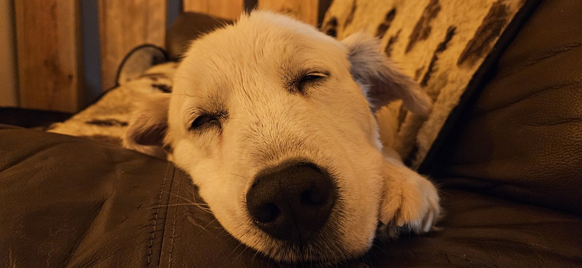 Jakie Milka ma puszyste pycho po kapieli🥰