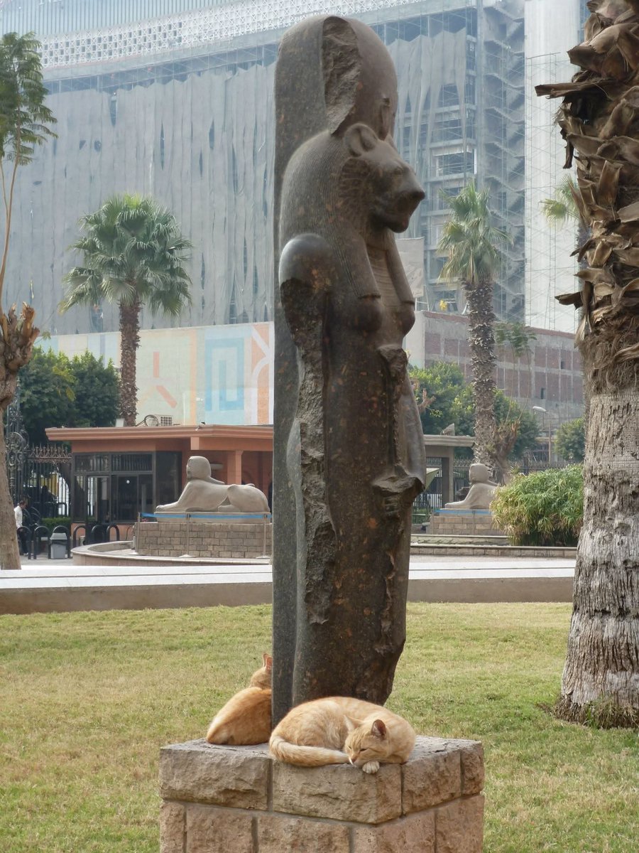 Sekmet with her kitties - Cairo Museum 🇪🇬❤️