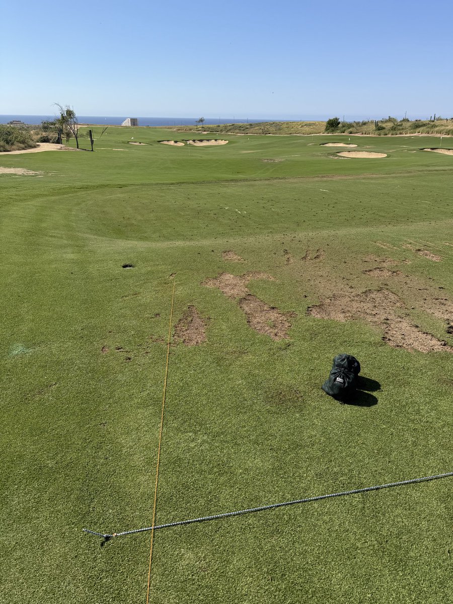 Bo Van Pelt tweet media