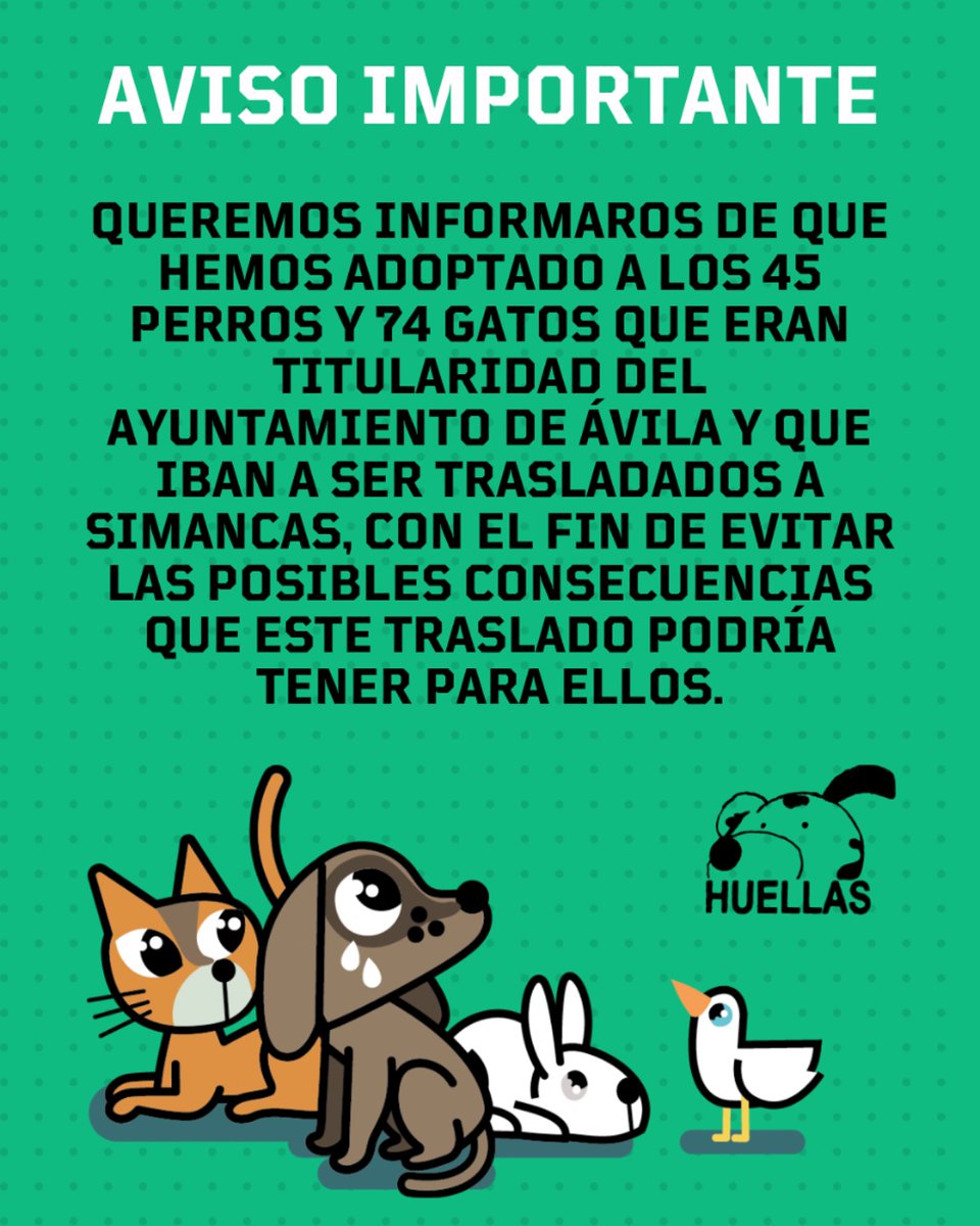 Huellas Protectora (@huellasavila) on Twitter photo 