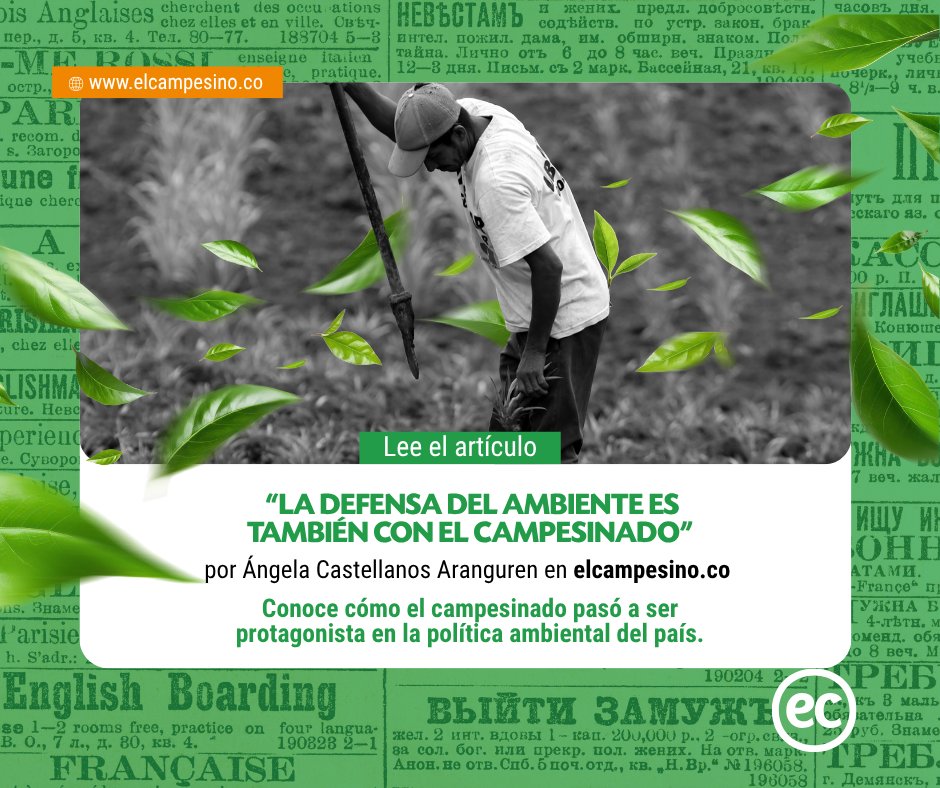 El agua que tomamos, el bosque que respiramos y la comida que llega a la mesa tienen algo en común: manos campesinas detrás.🙌🧑‍🌾

👉 Descubre cómo el campesinado entra en la agenda ambiental y en la COP30.

elcampesino.co/la-defensa-del…