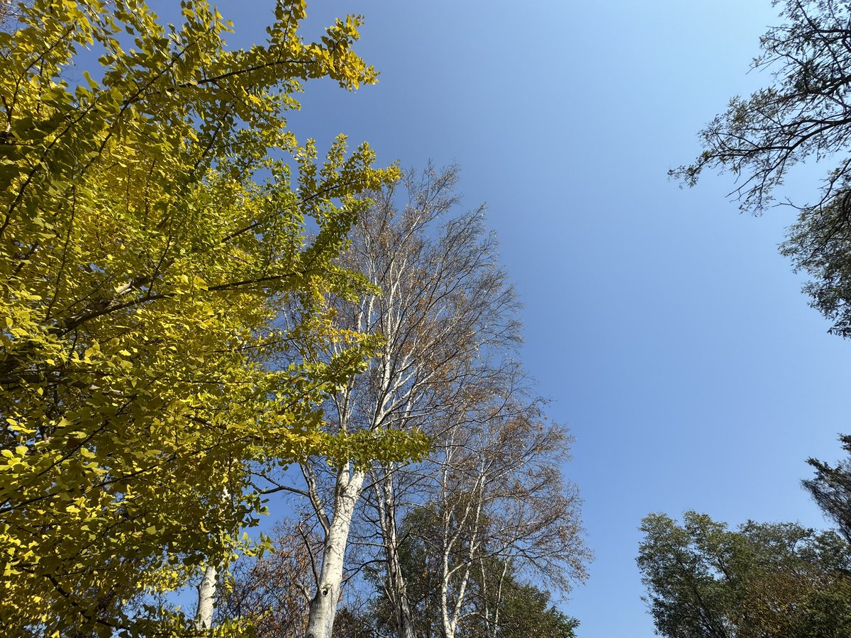 よく通った場所久しぶりに来た