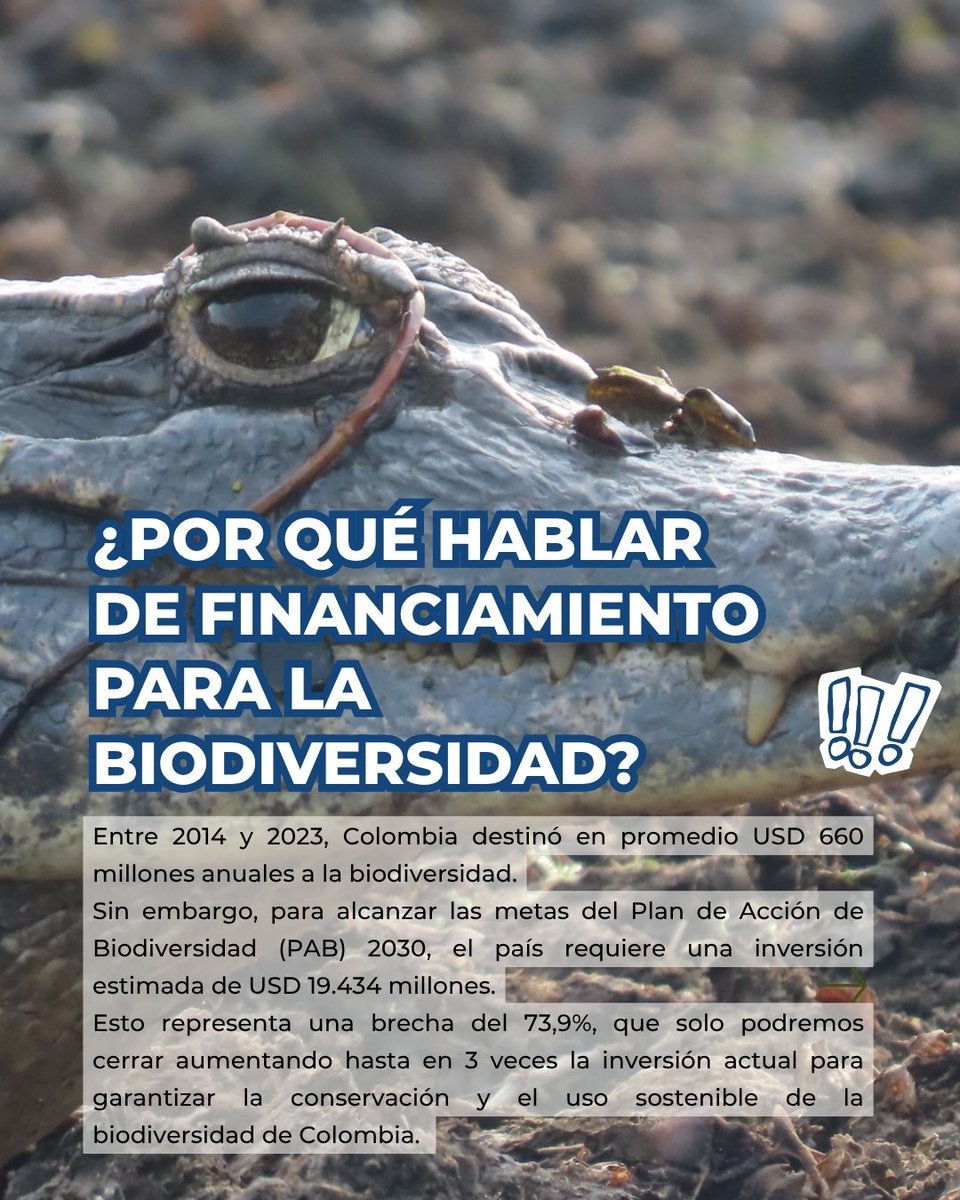 PnudColombia's tweet image. El PNUD 🇨🇴, a través de la Iniciativa #BIOFIN, avanza en la construcción del Plan Financiero para la gestión de la biodiversidad en Colombia.
Una estrategia para cerrar la brecha de financiamiento y movilizar recursos hacia la conservación y el uso sostenible de la biodiversidad.…