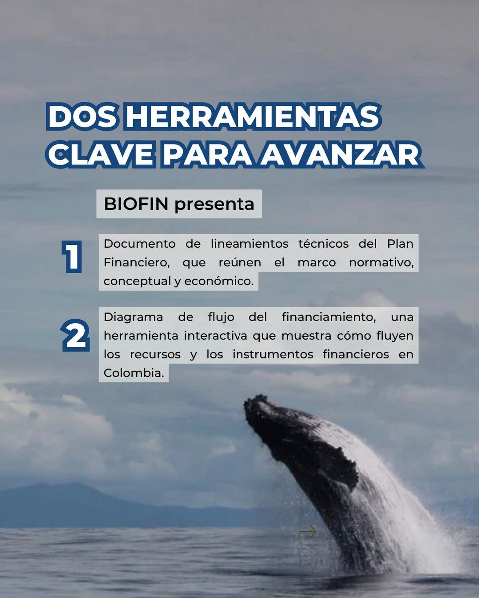 PnudColombia's tweet image. El PNUD 🇨🇴, a través de la Iniciativa #BIOFIN, avanza en la construcción del Plan Financiero para la gestión de la biodiversidad en Colombia.
Una estrategia para cerrar la brecha de financiamiento y movilizar recursos hacia la conservación y el uso sostenible de la biodiversidad.…