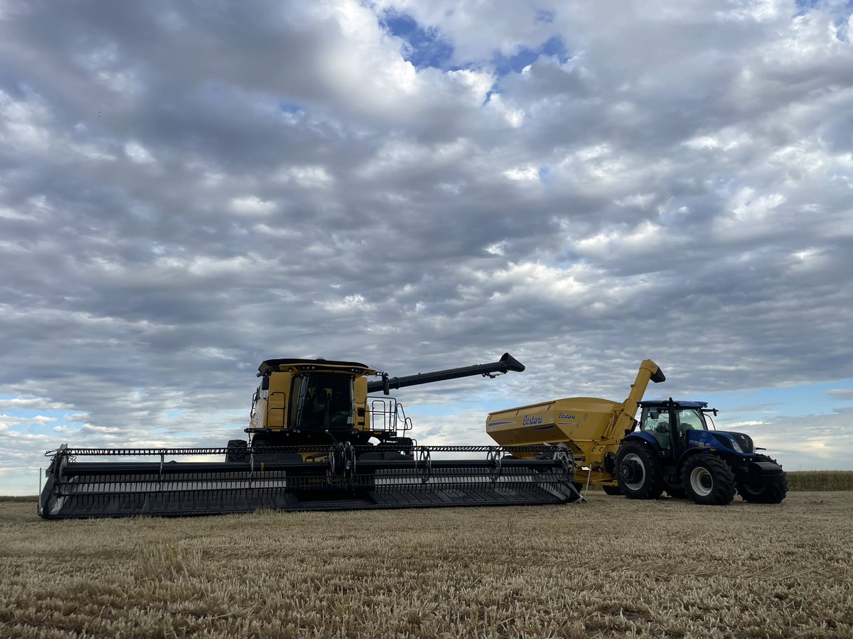 Listos para vivir la 5.ª edición de la Inauguración de la Cosecha de Trigo.
Otra edición acompañando a <a href="/aad_dolores/">Asociación Agropecuaria de Dolores</a> 
📣 No se suspende por lluvia.

#CosechaDeTrigo #CorporacionDeMaquinaria #NewHolland