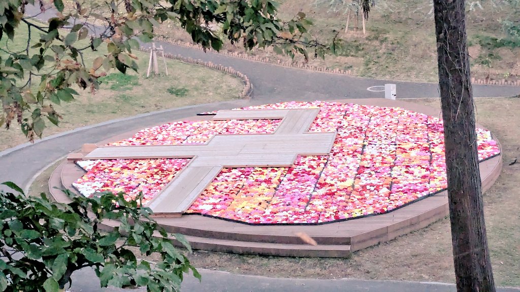 おはよう☀︎
みんなの今日が良い日になります様に☆。.:＊・゜

【天竺牡丹花手水】
公園の真ん中に巨大花手水が3日間限定で開催
