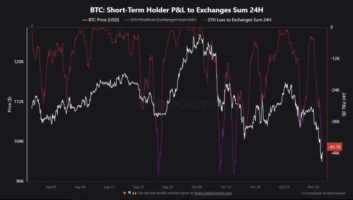 Bitbull tweet media