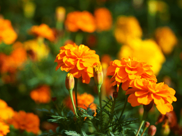 占いサロン順震(原宿当たる占い師5選、ヤフー占い売上No1占い師）11/8