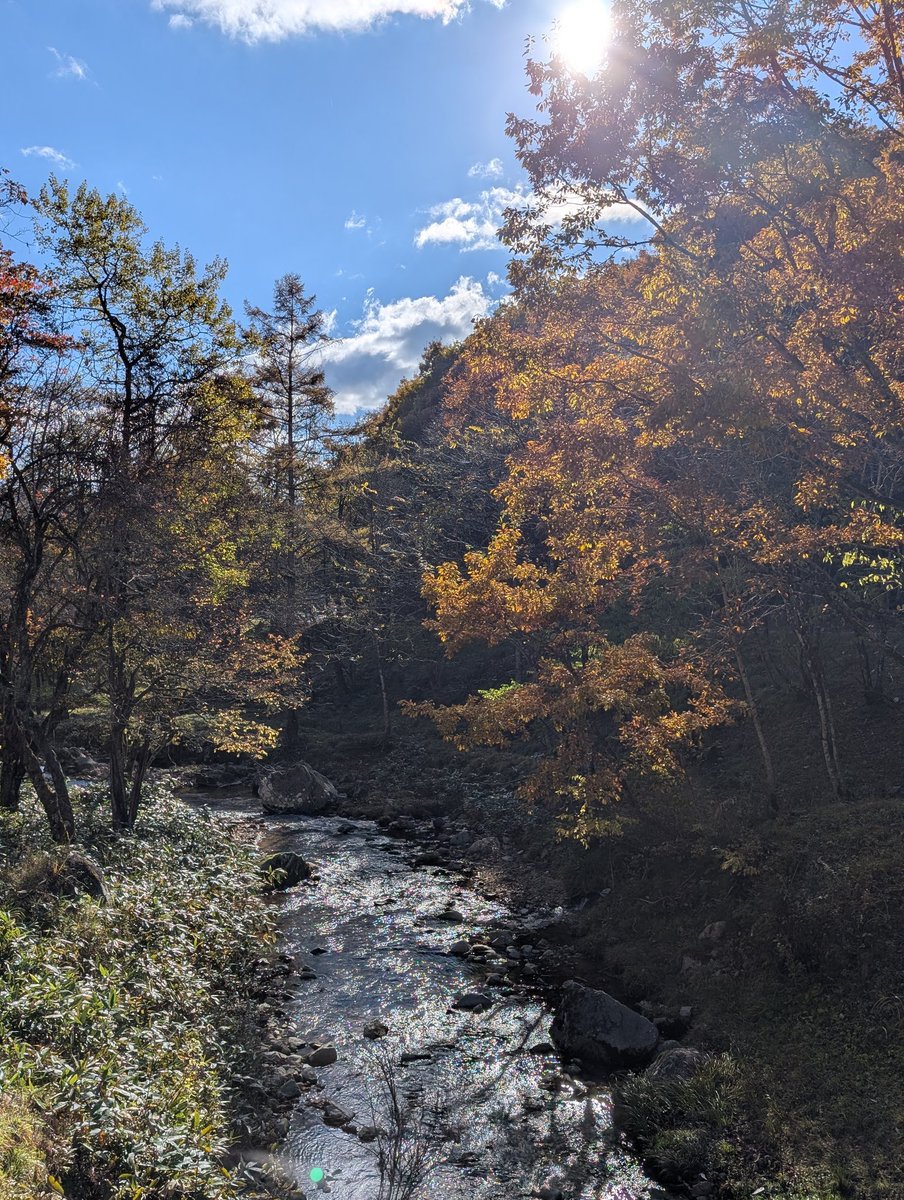 🐸ひとちゃん🏍 on X