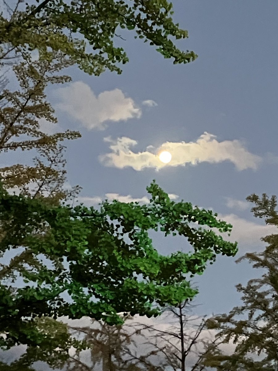 96d (@zeph96d3) / Posts / X