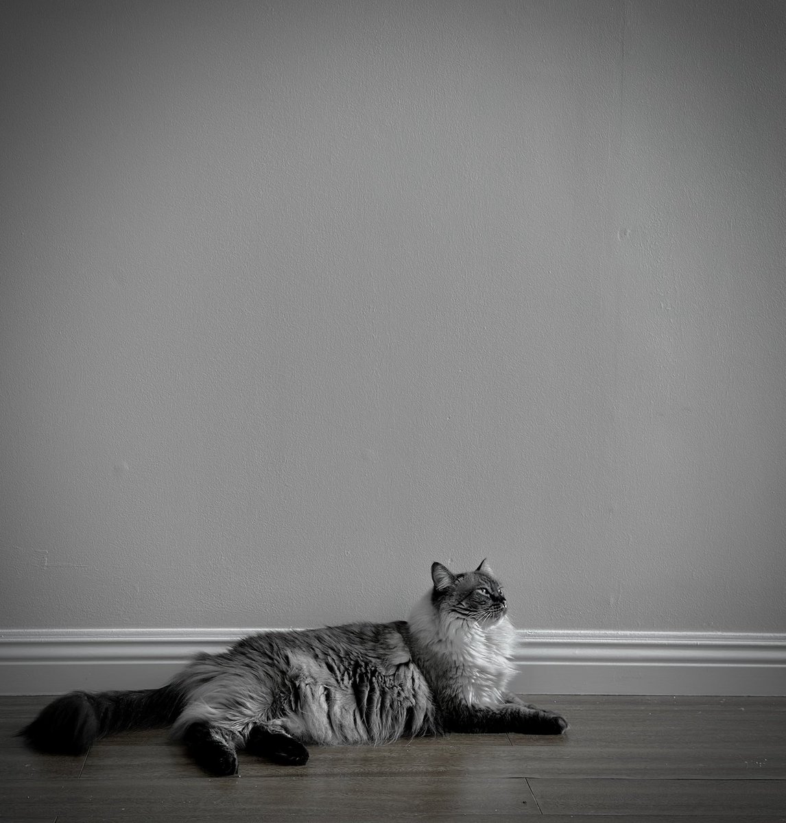 Black and white moment.