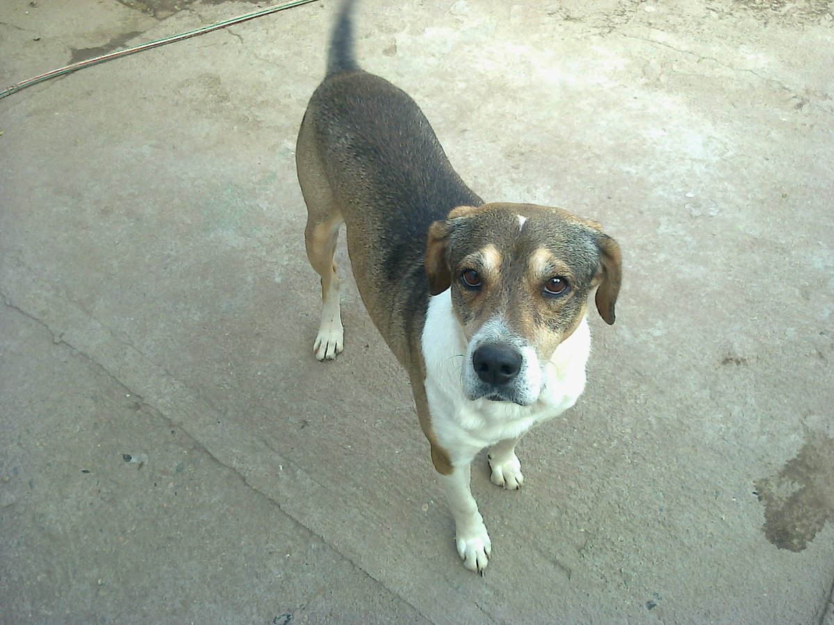 CapdevilaPao's tweet image. Te extraño Dago💔