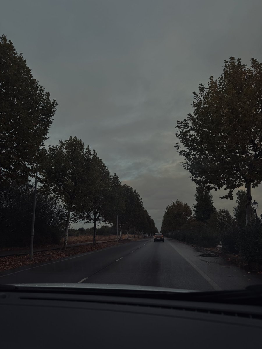 melu16's tweet photo. Autumn Mood 🍂 https://t.co/UUQppCuq81