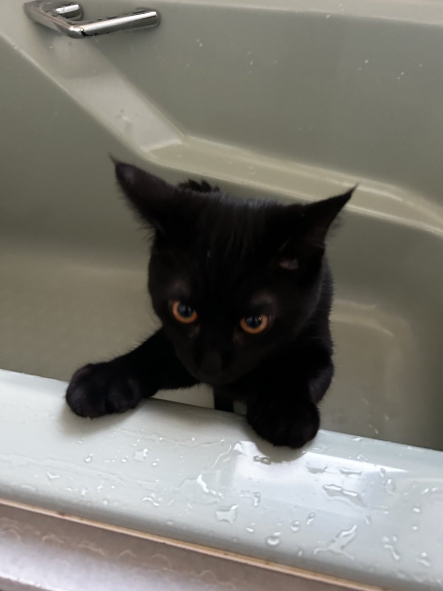 天ゆい柚乃（あまゆい ゆの） on X