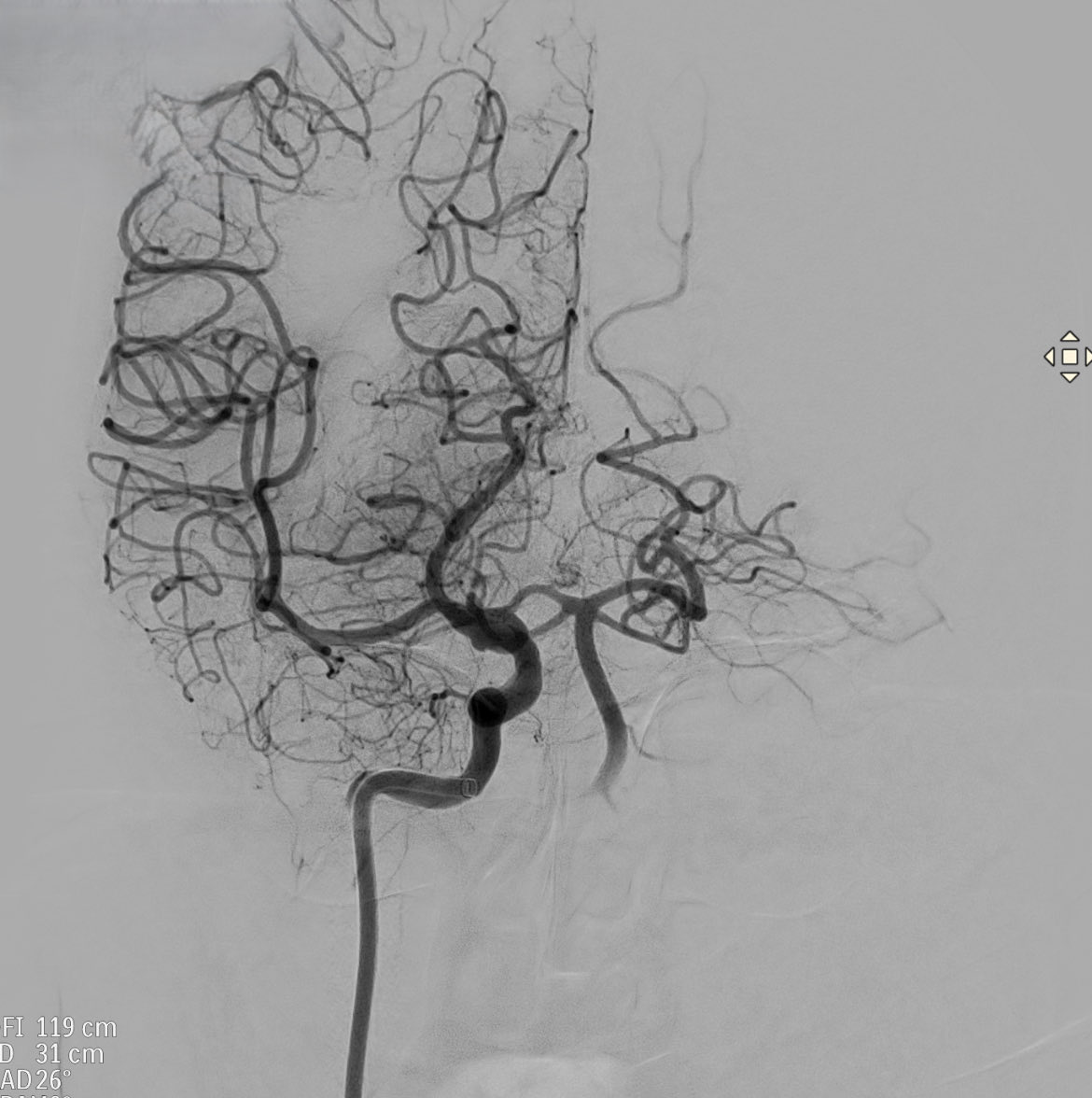 Carlos Castaño tweet media