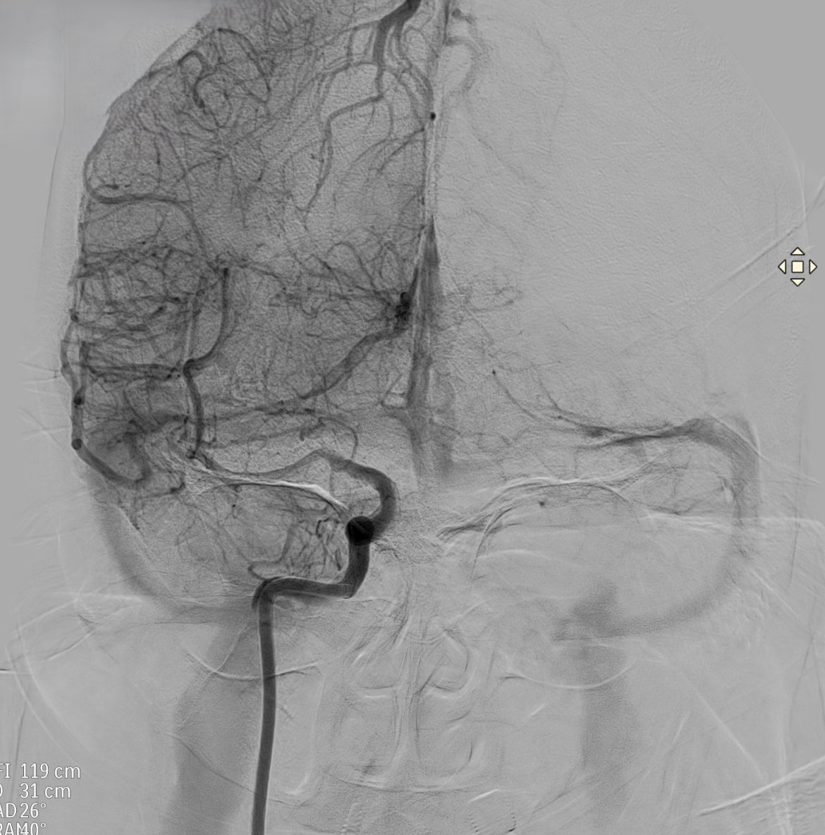 Carlos Castaño tweet media