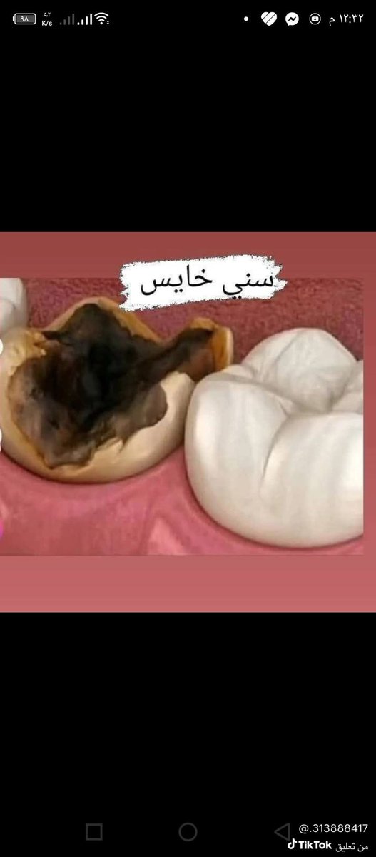 bassem mohammed tweet media