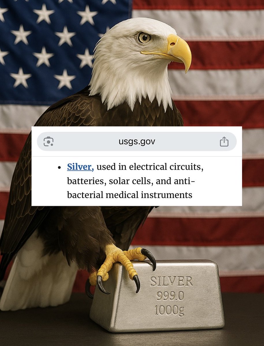 🚨 THE 🇺🇸 USA OFFICIALLY ADDS #SILVER AS A CRITICAL MINERAL.

Just week after China put #Silver export restrictions.

The coming global #Silver-rush will be unlike anything the world has seen.

Complete validation for the #Silver community 🫡 all going as predicted.
