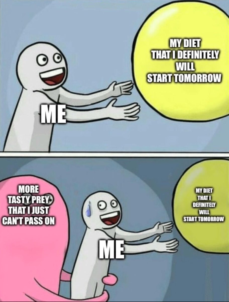 vore_irl redd.it/1oqc84v