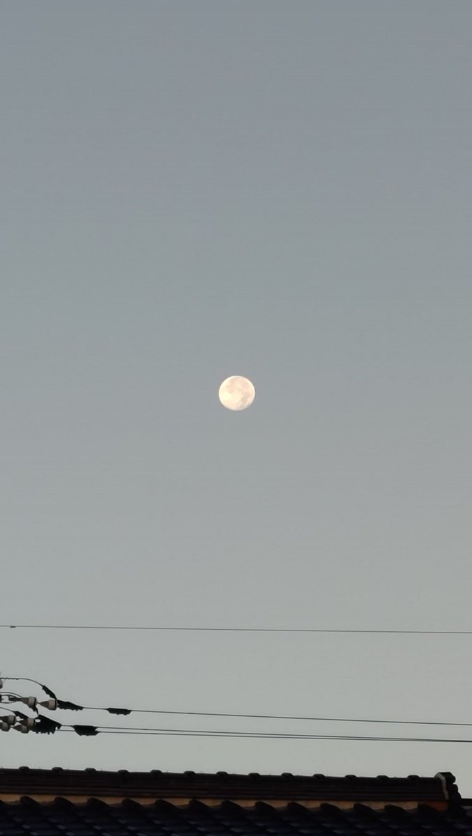 モーニングムーン