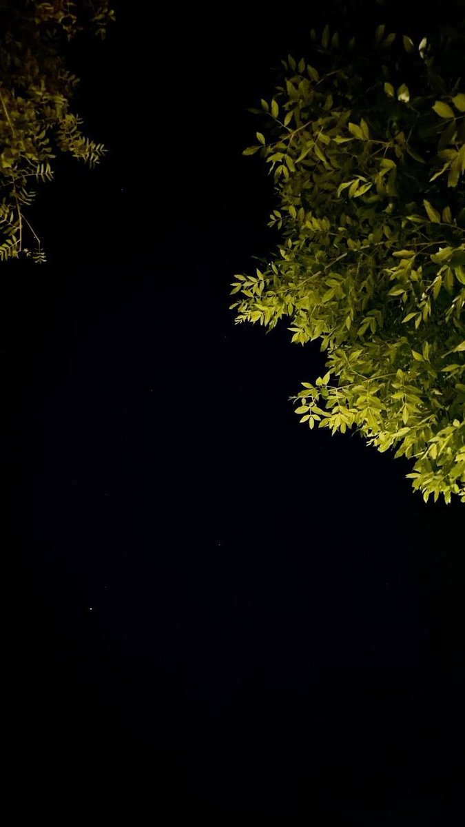 أعَيش وأتعايش في كَوب شاي .