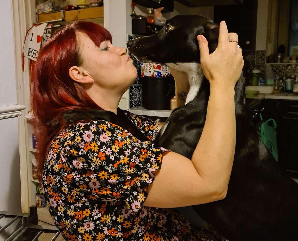 CooperWhippet's tweet image. Get off me you daft smoochy face 😂😂😘😘🐾💙🐕