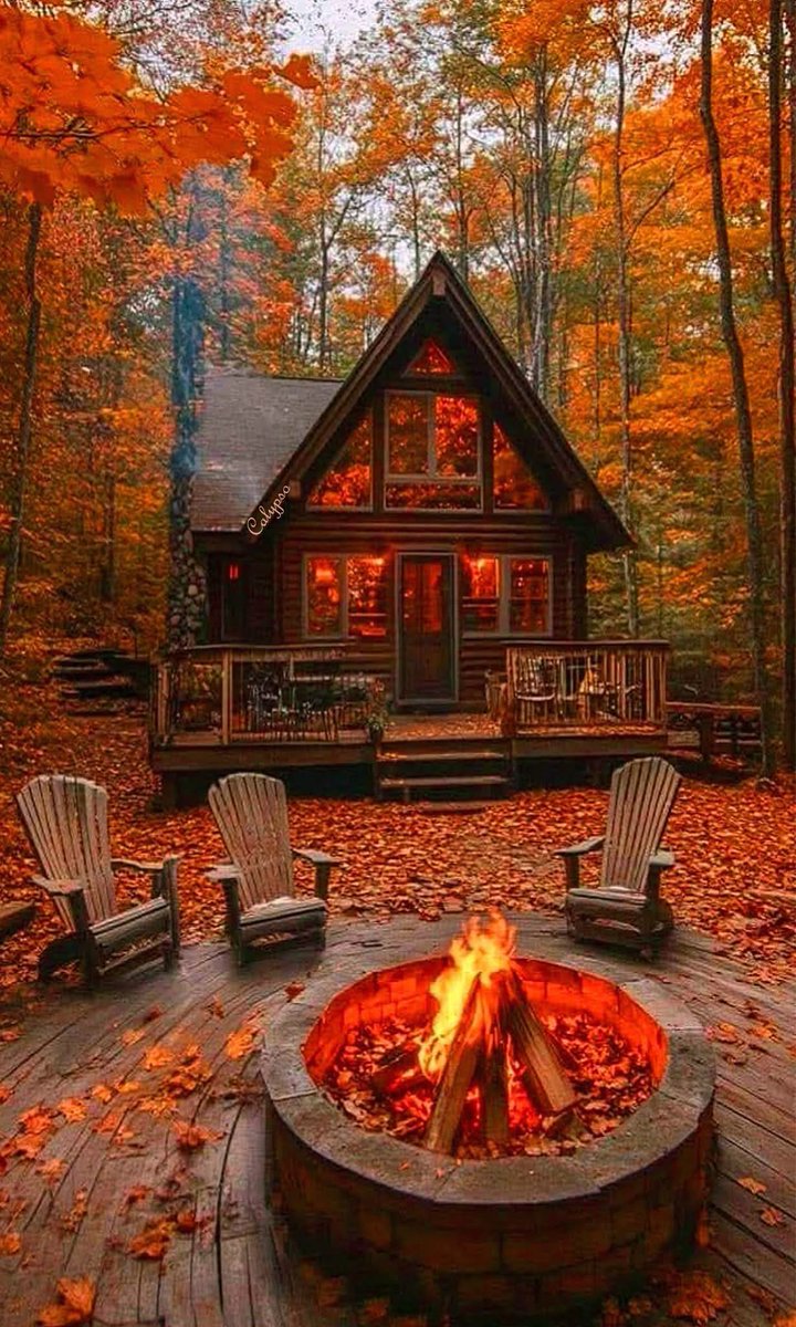 drhafezster's tweet image. 🍂🌲🔥🏚️🍁

COZY 🏡 

#cozyhome    #moodchallenge
