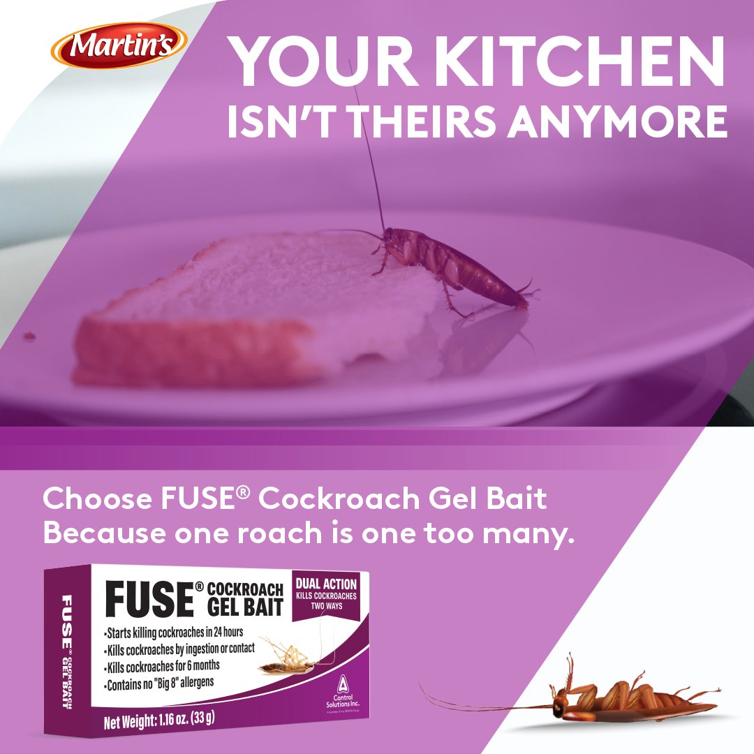MartinsBrand's tweet image. If you’ve seen one roach, there are more hiding nearby.FUSE Cockroach Gel Bait gets to the source fast with dual-action control that starts working in 24 hours!
#MartinsBrand #FUSEGelBait #CockroachControl #PestFreeHome #PestControl 
hubs.la/Q03Rmltb0