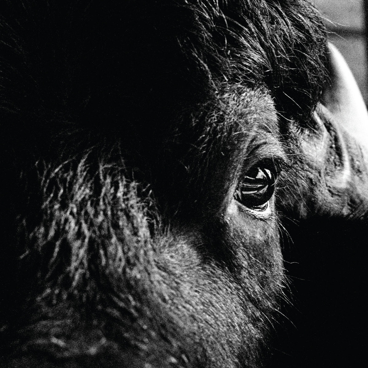 Jean-FrancoisFecteau tweet media