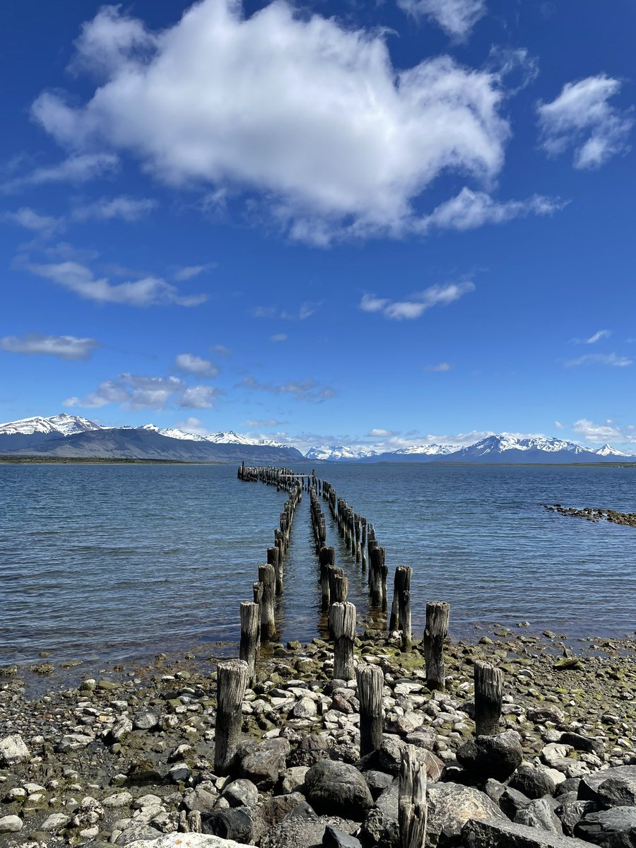 afitxex's tweet image. Que me lleve el viento.