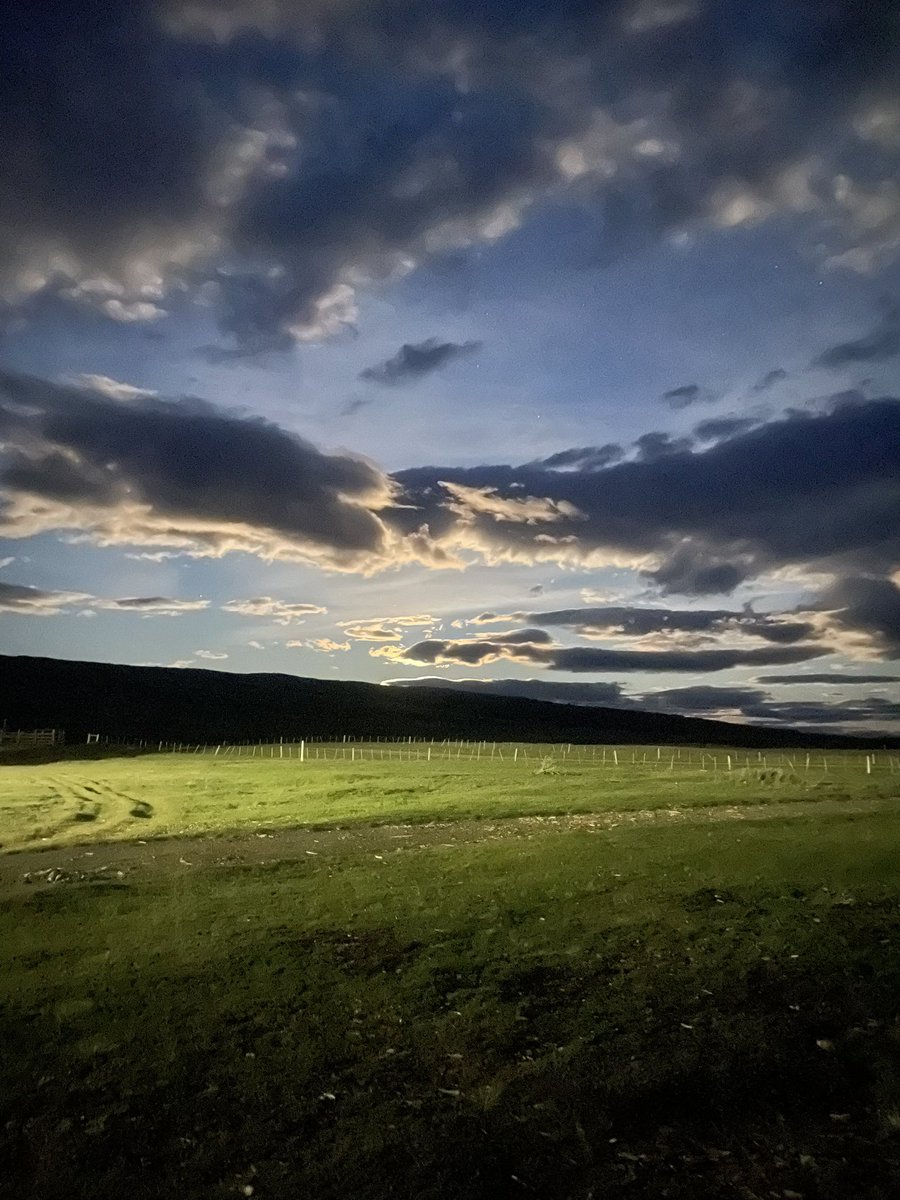 afitxex's tweet image. Que me lleve el viento.