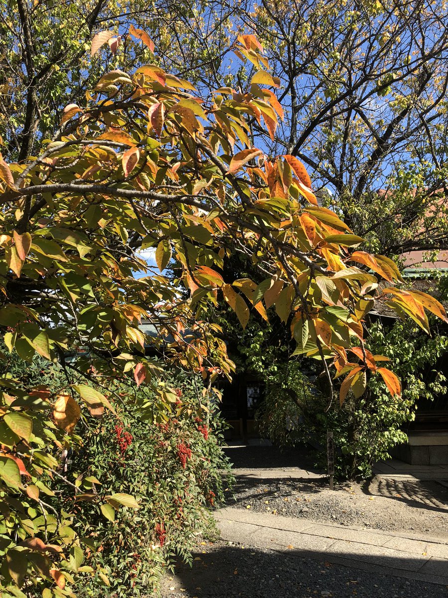 下御霊神社 on X
