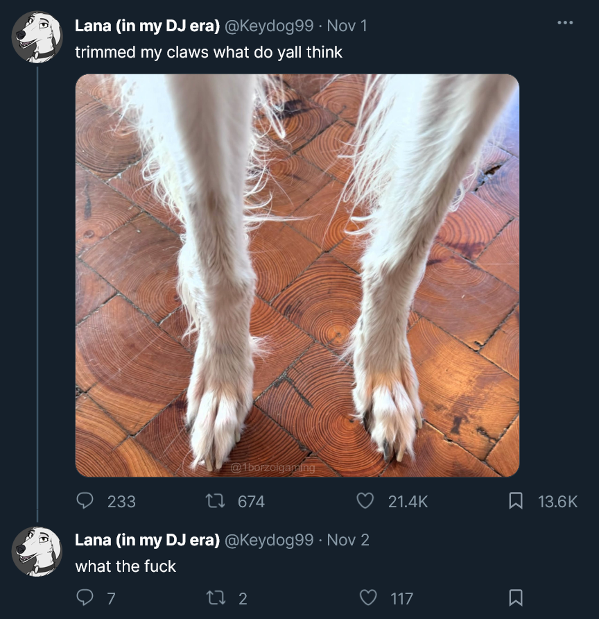 AnotherColourAnon tweet media