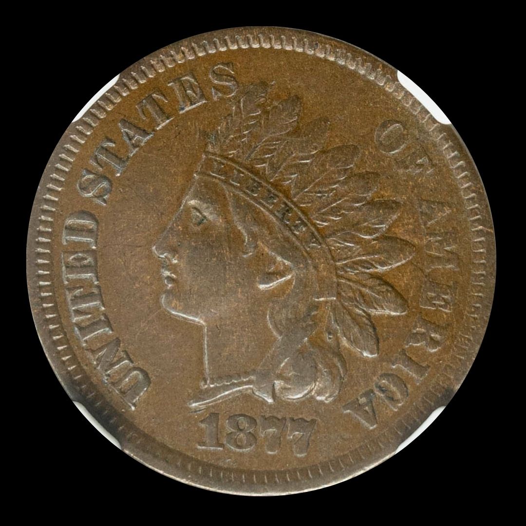 nfccoins's tweet photo. It's throwback Thursday, and we're showcasing this 1877 Indian Head Cent 1C AU53BN NGC.
Website: https://t.co/UvNfz2dC69
eBay: https://t.co/V8R6DIpY7z
#tnfc #ThrowbackThursday #Numismatics #ngccoins #collectorsedition #oldcoins #onecent https://t.co/P8xSiDRcmv